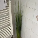 Schoene Mitten In 公寓 科布倫茨