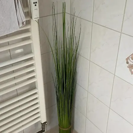 Schoene Mitten In Apartament Koblencja