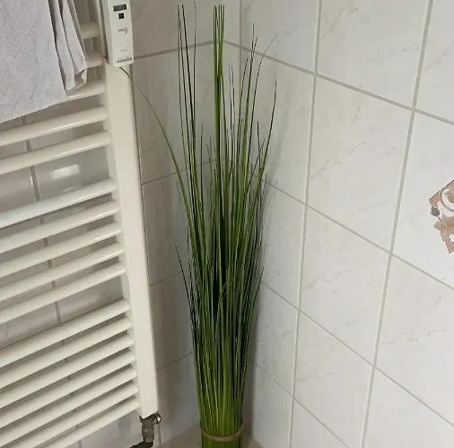 Schoene Mitten In Appartement Coblence